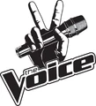 The Voice (TV series)