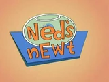 Ned's Newt