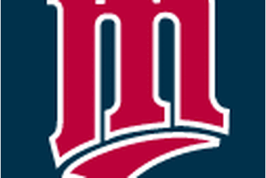 Minnesota Twins, Logopedia