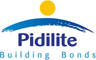 Brand | Pidilite - Leading The Market By Sticking To The Basics - The Brand  Hopper