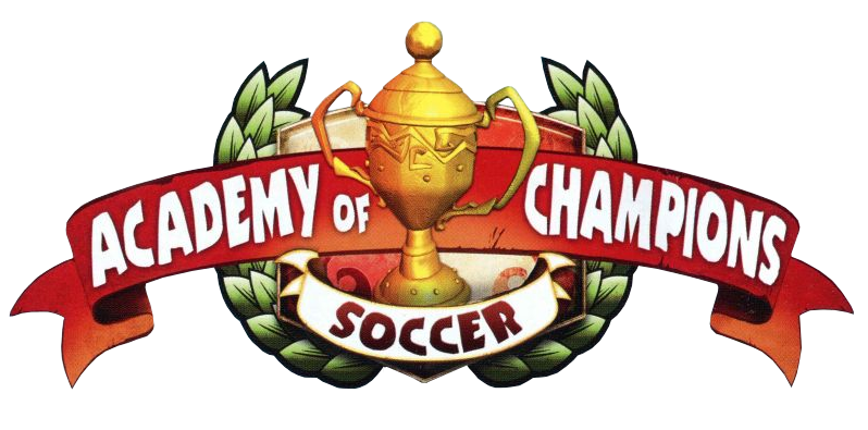  Academy Of Champions Soccer - Nintendo Wii : Video Games