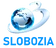 2019–2021