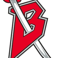 Buffalo Sabres Logopedia Fandom Cool 3d design of the old buffalo sabres blue and gold logo. buffalo sabres logopedia fandom