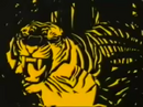 Tiger ident