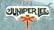 Logo only containing the "Juniper Lee" text.