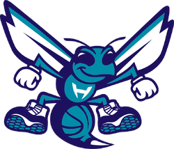 Charlotte Hornets Logo Evolution