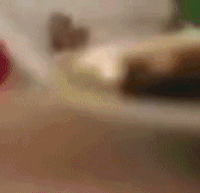 Screen bug