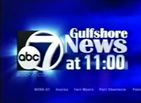 WZVN2006-1.png (324 KB) News open from 2006