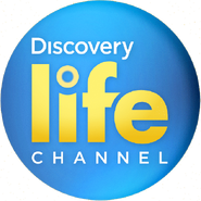 Discovery Life Channel logo official png