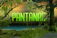 SBT rerun titlecard (2008)