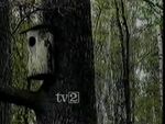 TV2 ident, 1986