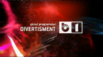 Program type bumper