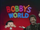 Bobby's World