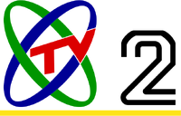 CCTV2 Logo 1993-1998