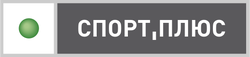 спорт плюс эфир. плюсы спорта. спорт плюс эфир. телеканал спорт плюс. сетанта спорт плюс.