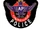 Andhra Pradesh Police