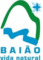 Baião2010