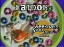 Catdog Weekdays