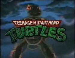 Teenage Mutant Hero Turtles