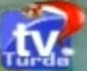 Christmas on-screen bug