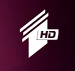 HD logo variant