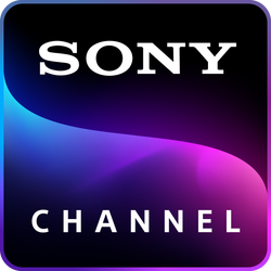 Role of Logo in Sony\