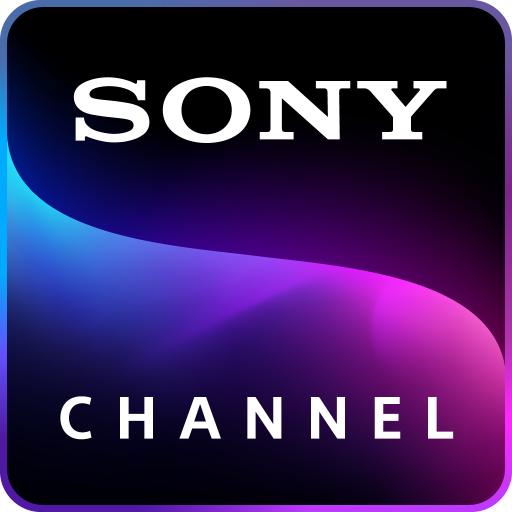 Significance of the Sony Logo in Brand Identity