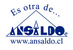 Variant logo with slogan and website (2000-2008)