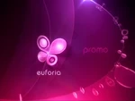 Promo bumper