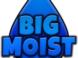 MoistCr1TiKaL