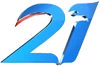 21st Anniversary (2010, 3D effect)