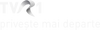 Alternate variant used on idents (2009–2011)