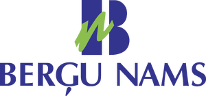 Bergu-nams
