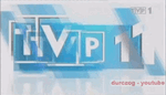 TVP1 2011