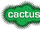Cactus TV