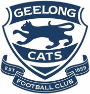 Secondary logo