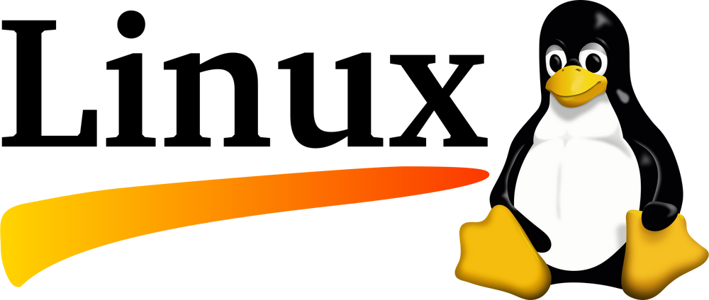 1000 (1000×424)