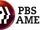 PBS America/2012 Idents