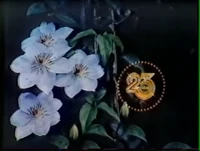 "You & Me & 23!" Station ID (1980–1981)