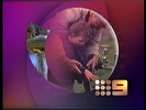 1995 "This is Channel Nine" ID A