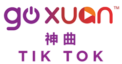 TikTok, Logopedia