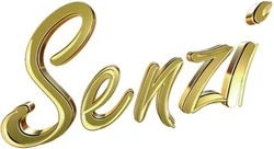 TV Senzi