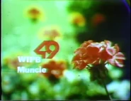 WIPB 1981.png (611 KB) Station ID (1981)