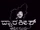 Dwarakish Chitra