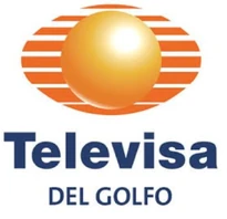 Televisa del golfo 2014
