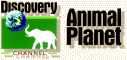 Animal Planet Alt Logo