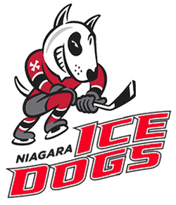 Niagara IceDogs