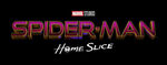 Spider-Man: Home Slice Tweeted by Zendaya