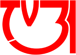 TV31 logo 1994