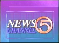 NewsChannel 5 Newsbrief 1991